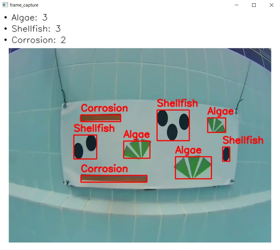 Testing computer vision